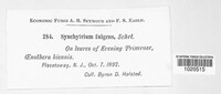 Image Associated With the Occurence